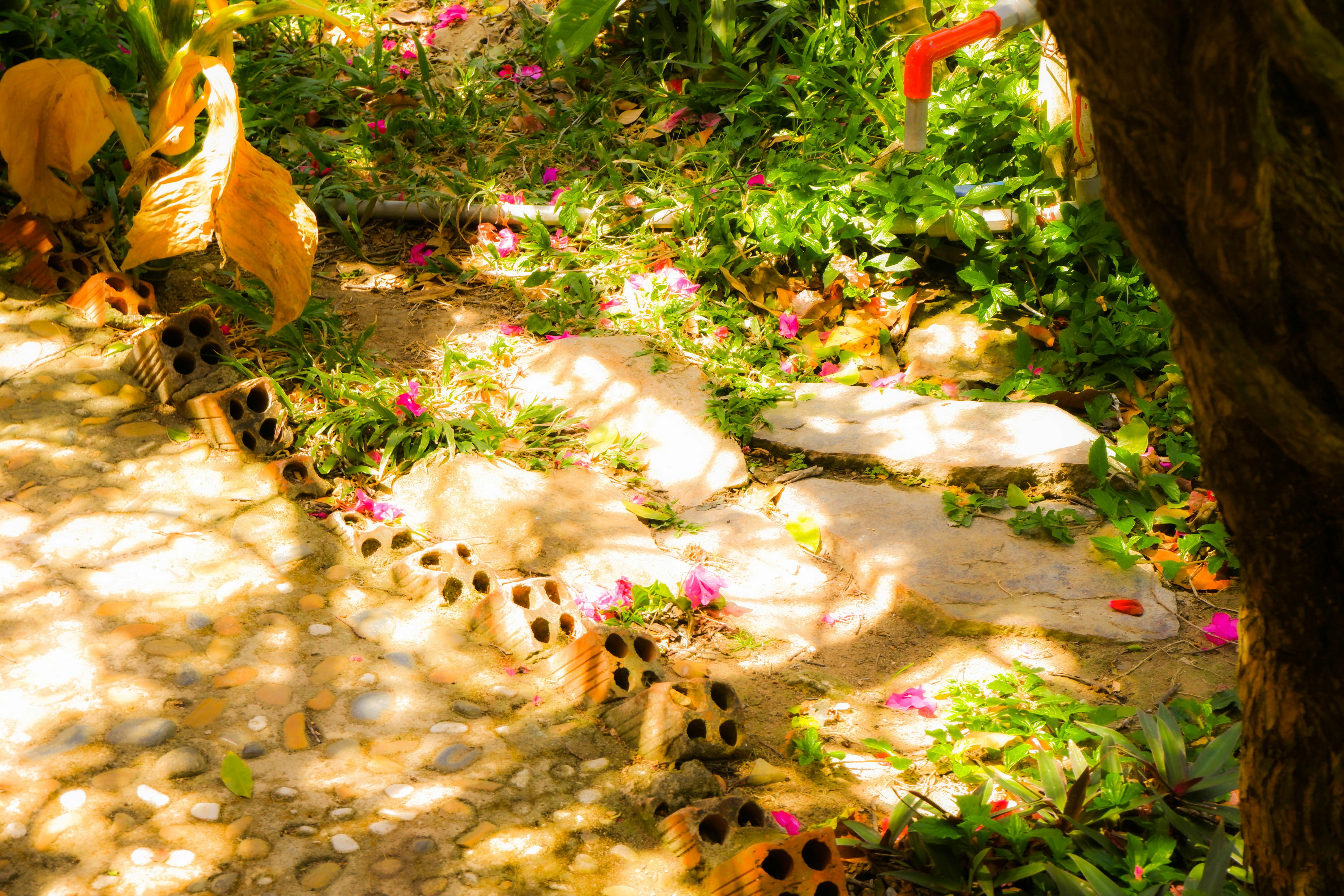 A bright, colorful garden with a winding path and flowers